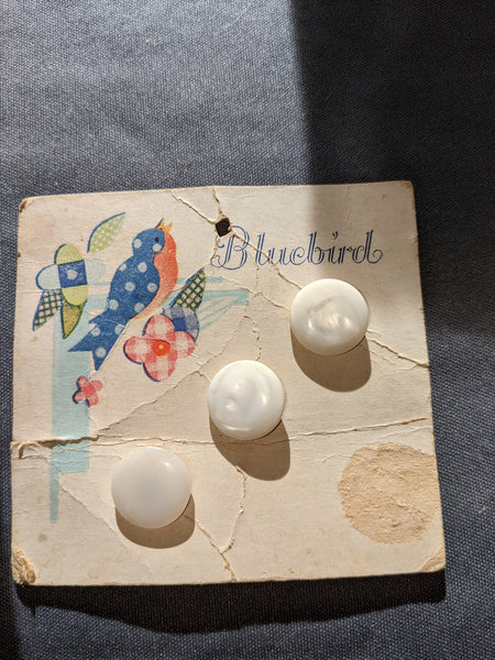 Bluebird carded pearl buttons